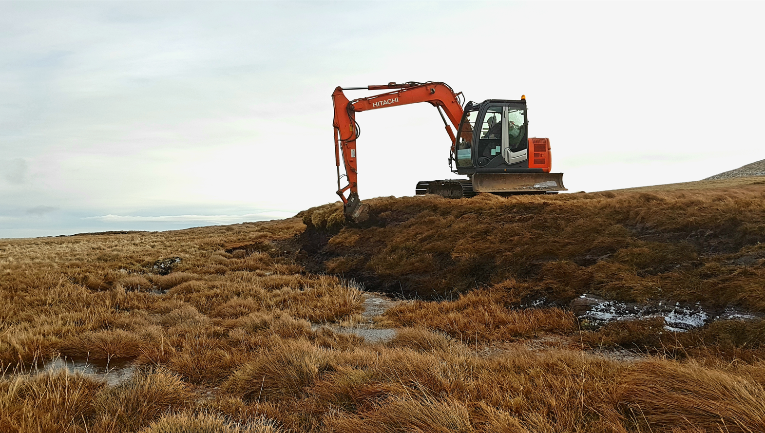 peatland restoration Llwytmor